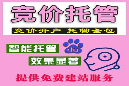 某品牌SEM推广策略的成效与启示